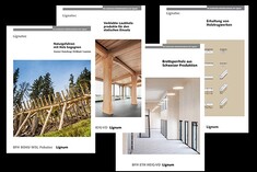 Publikationen der Lignum
