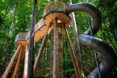 Den Wald von oben erleben - neuer Baumwipfelpfad auf dem Ballenberg