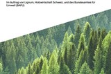 Holzbaukennzahlen für Investoren - Bürobauten